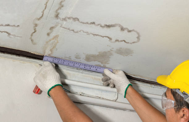 Reliable Burst Pipe Cleanup contractor in Mayville, ND by Water Damage Irwin